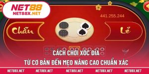 Cách Chơi Xóc Đĩa – Từ Cơ Bản Đến Mẹo Nâng Cao Chuẩn Xác