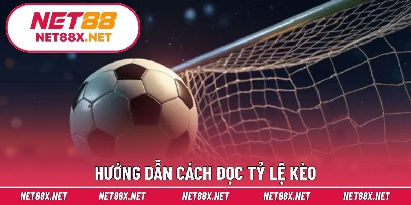 Hướng dẫn cách đọc tỷ lệ kèo