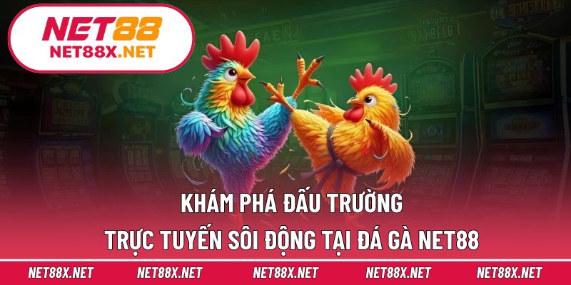 Khám phá đấu trường trực tuyến sôi động tại đá gà Net88
