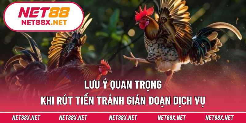 Lưu ý quan trọng khi rút tiền tránh gián đoạn dịch vụ
