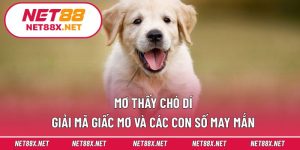 Mơ Thấy Chó Dí – Giải Mã Giấc Mơ Và Các Con Số May Mắn