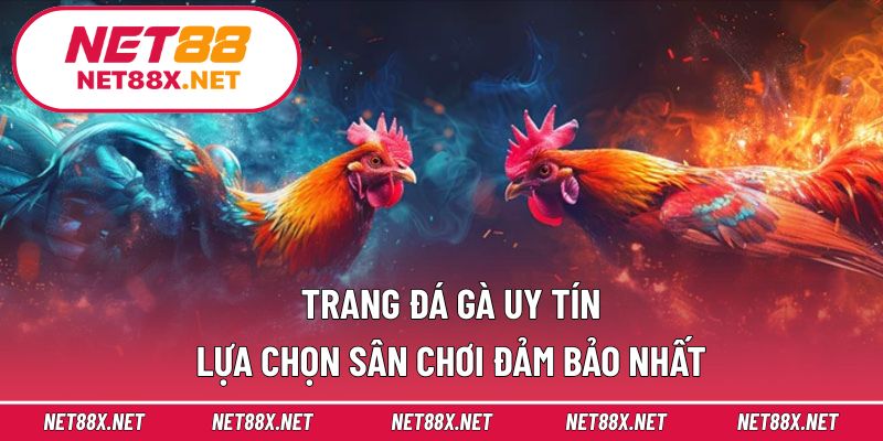 Trang Đá Gà Uy Tín – Lựa Chọn Sân Chơi Đảm Bảo Nhất